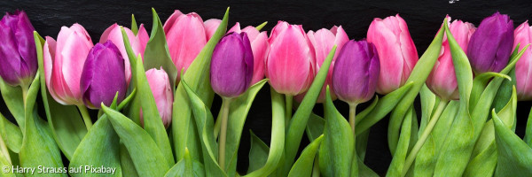 Blumen_Geburtstag