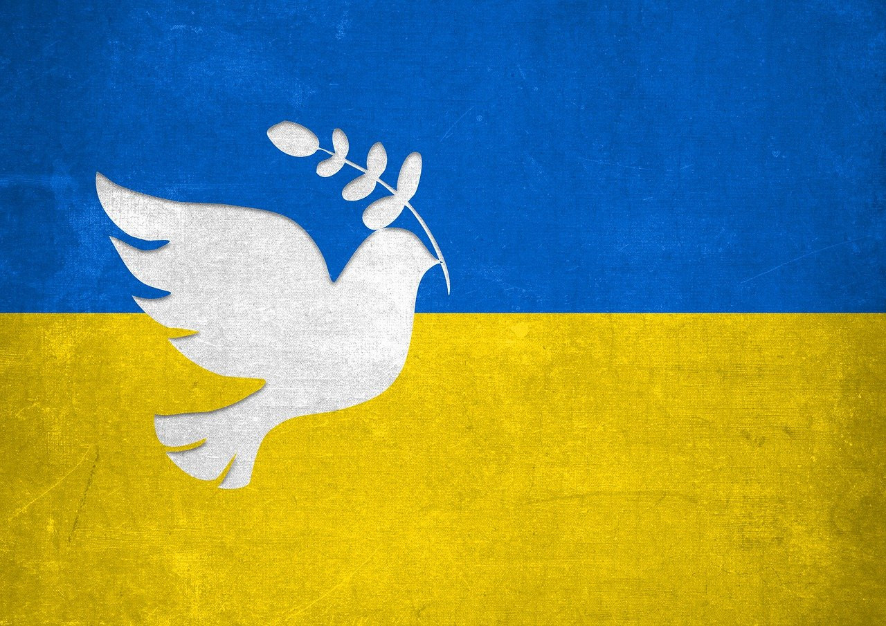 Fahne Ukraine Friedenstaube für Frieden Spende' Runder Kühlschrankmagnet